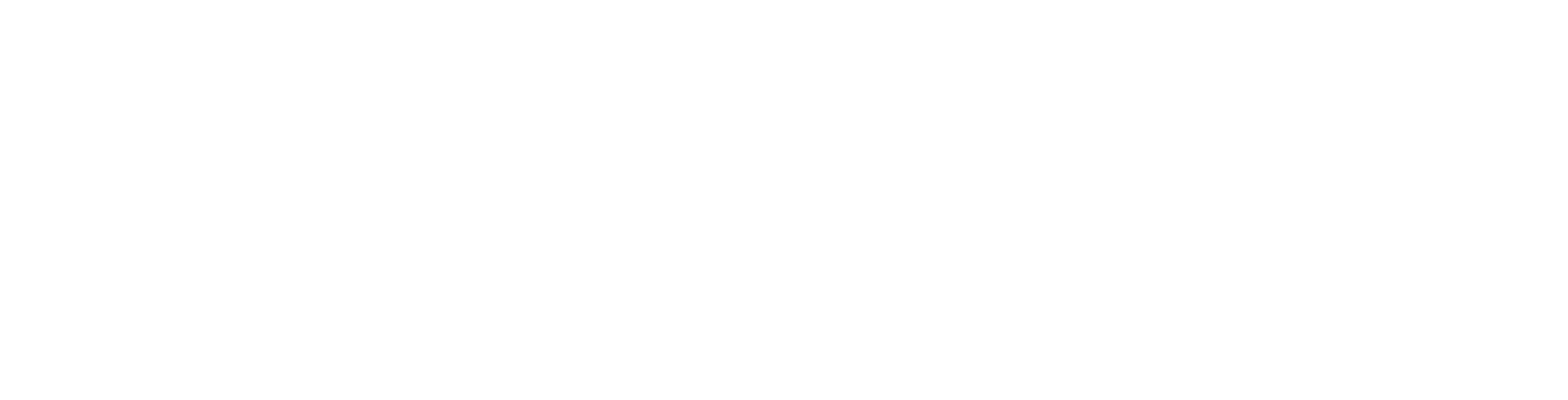 fota-do-stranek/riverparty-white.png