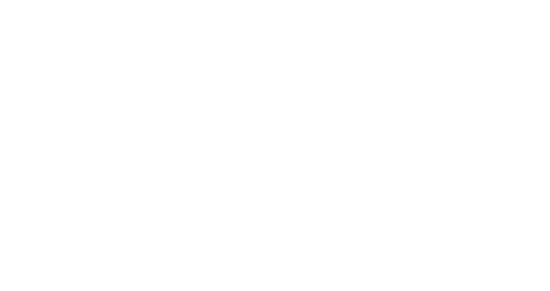 logo IDF CZ
